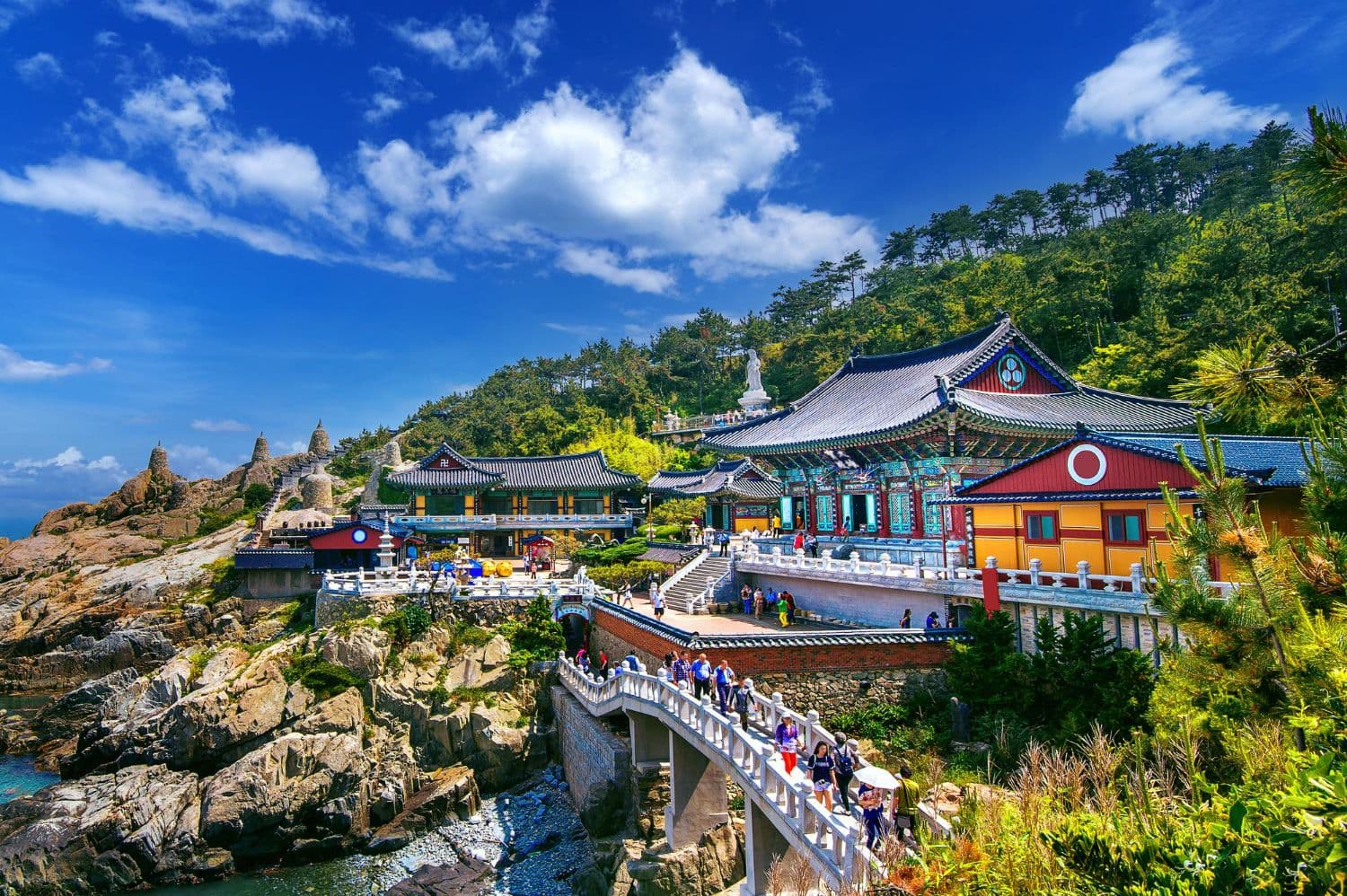 7-Day Muslim-Friendly Itinerary to Kunming & Stone Forest: Complete Halal Travel Guide